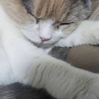 画像276