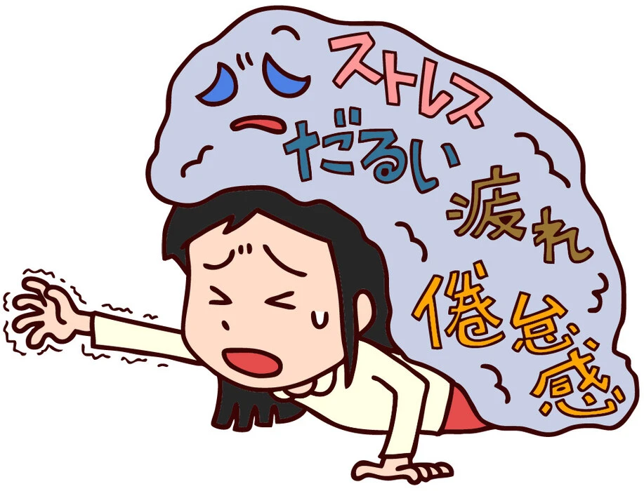 画像355