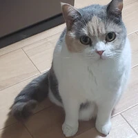 画像357
