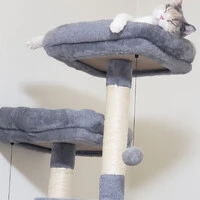 画像359